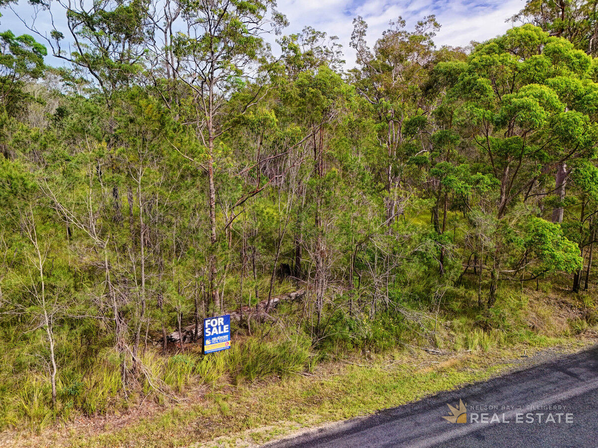 Lot 2873 Glencoe Street, North Arm Cove NSW 2324, North Arm Cove - Thumbnail 4