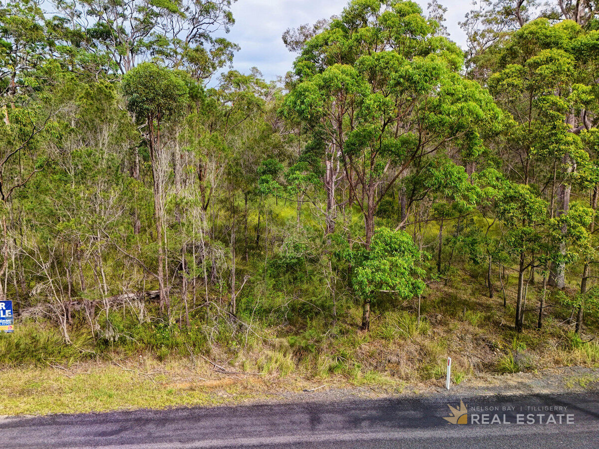 Lot 2873 Glencoe Street, North Arm Cove NSW 2324, North Arm Cove - Thumbnail 6