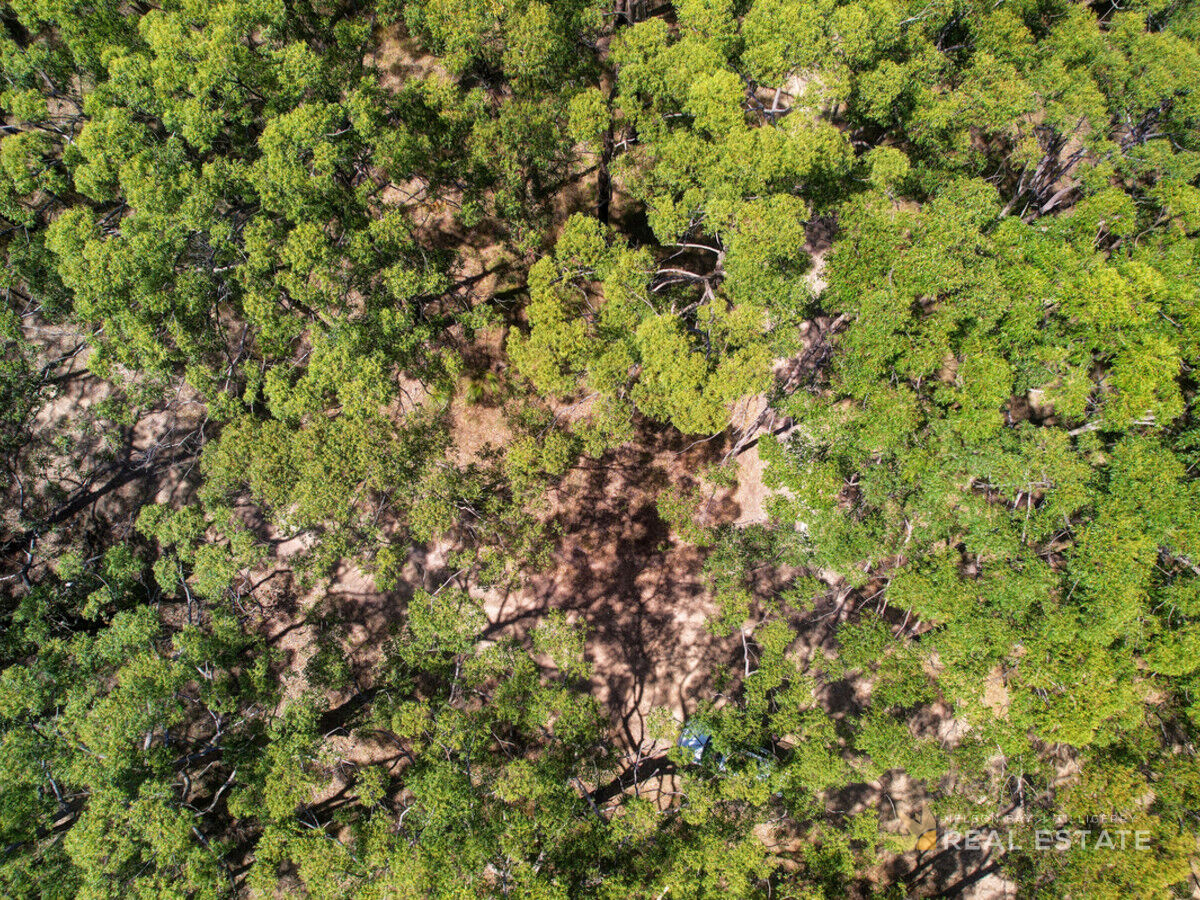 1 Oversea Way, North Arm Cove NSW 2324, North Arm Cove - Thumbnail 7