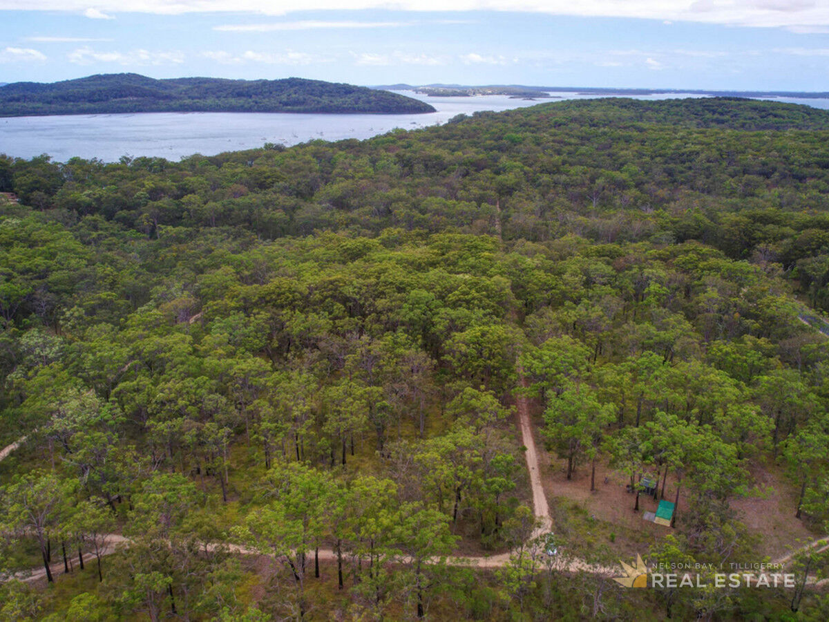 Lot 2541 Commerce Way, North Arm Cove NSW 2324, North Arm Cove - Thumbnail 7