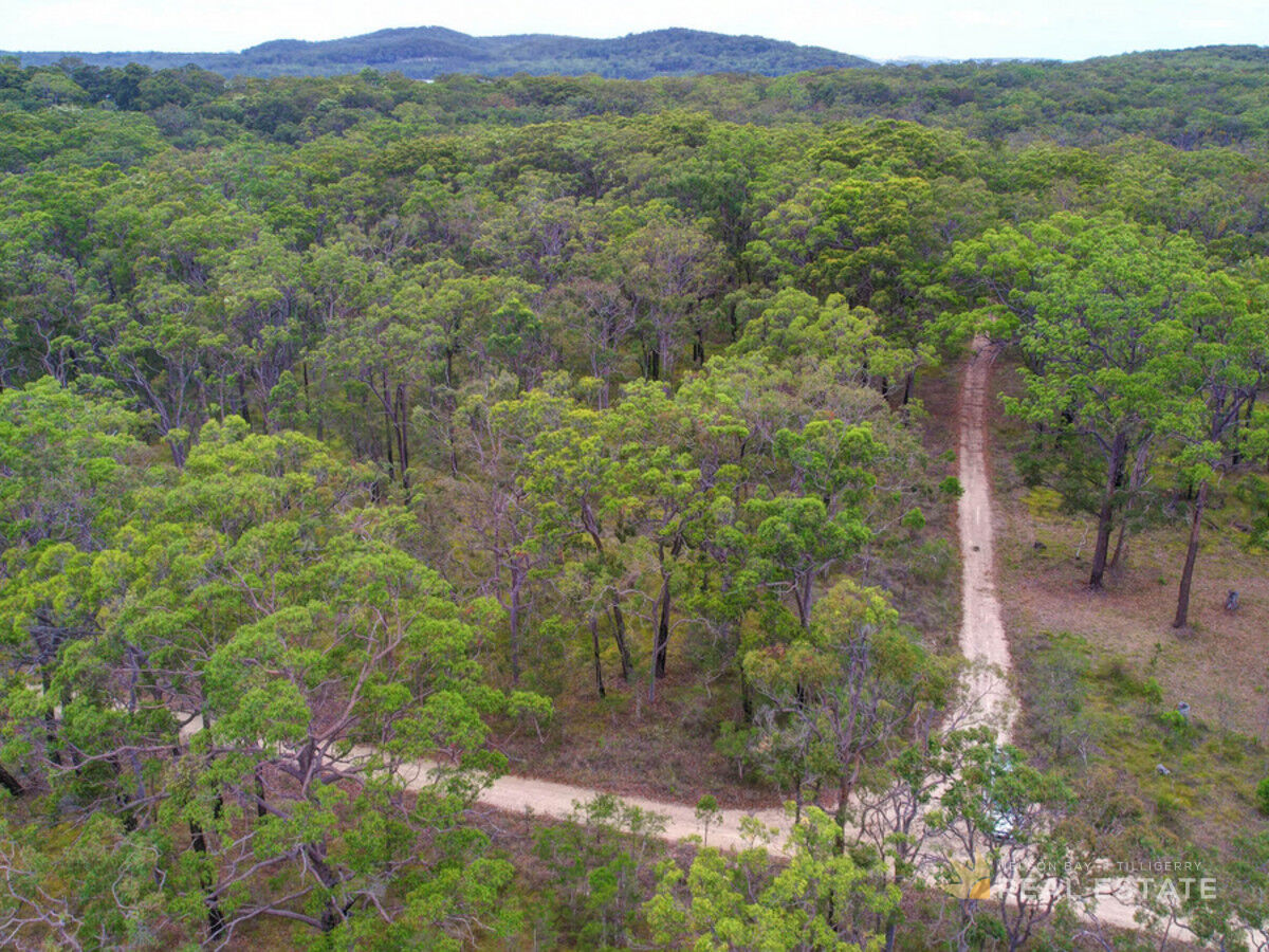 Lot 2541 Commerce Way, North Arm Cove NSW 2324, North Arm Cove - Thumbnail 4