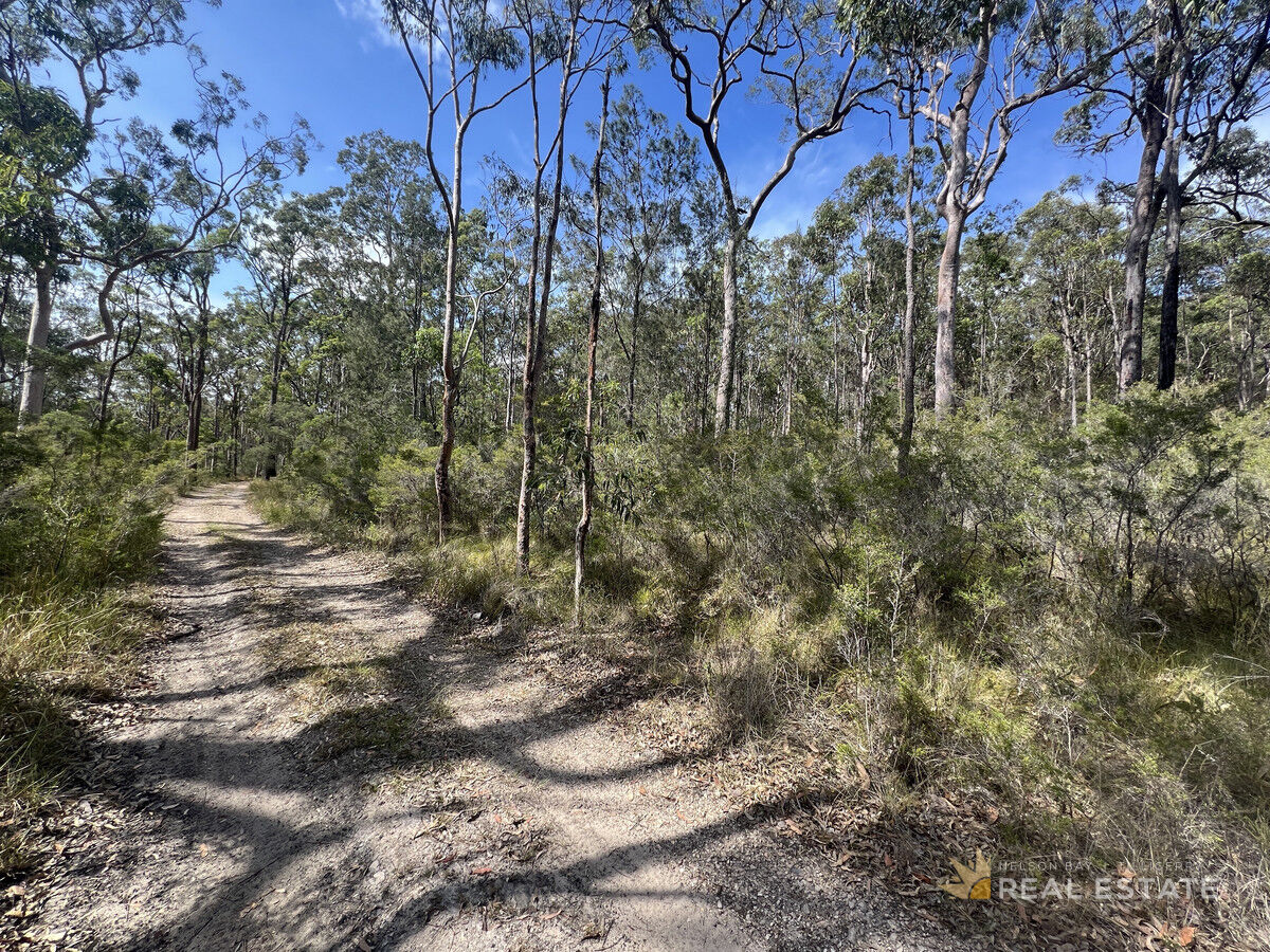 Lot 447 Dundee Place, North Arm Cove NSW 2324, North Arm Cove - Thumbnail 3