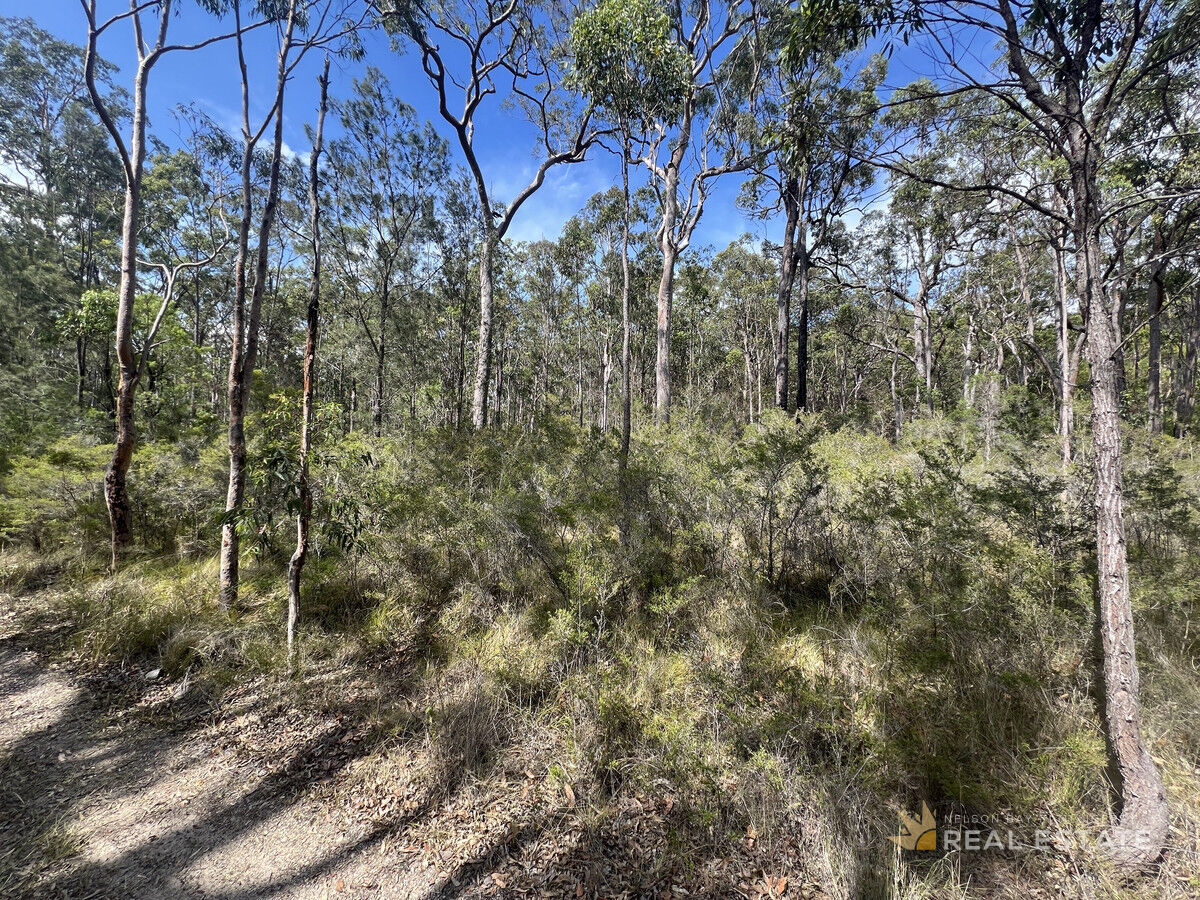 Lot 447 Dundee Place, North Arm Cove NSW 2324, North Arm Cove - Thumbnail 2