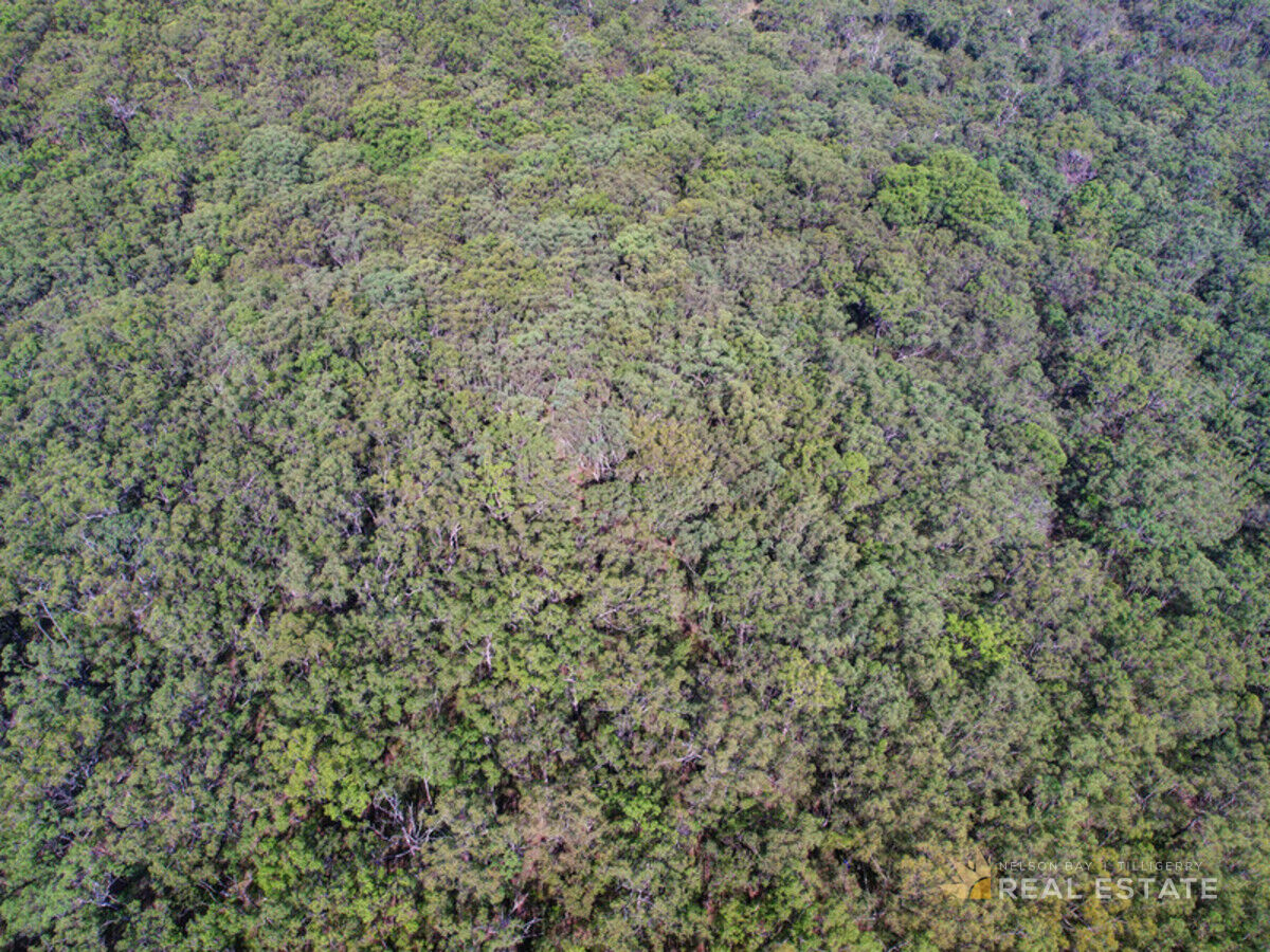 Lot 447 Dundee Place, North Arm Cove NSW 2324, North Arm Cove - Thumbnail 5
