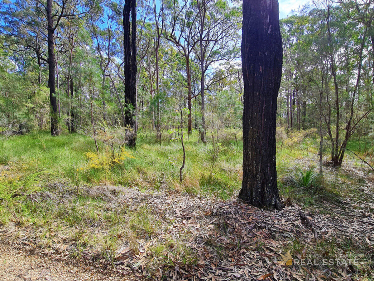 121 Moree Place, North Arm Cove NSW 2324, North Arm Cove - Thumbnail 5