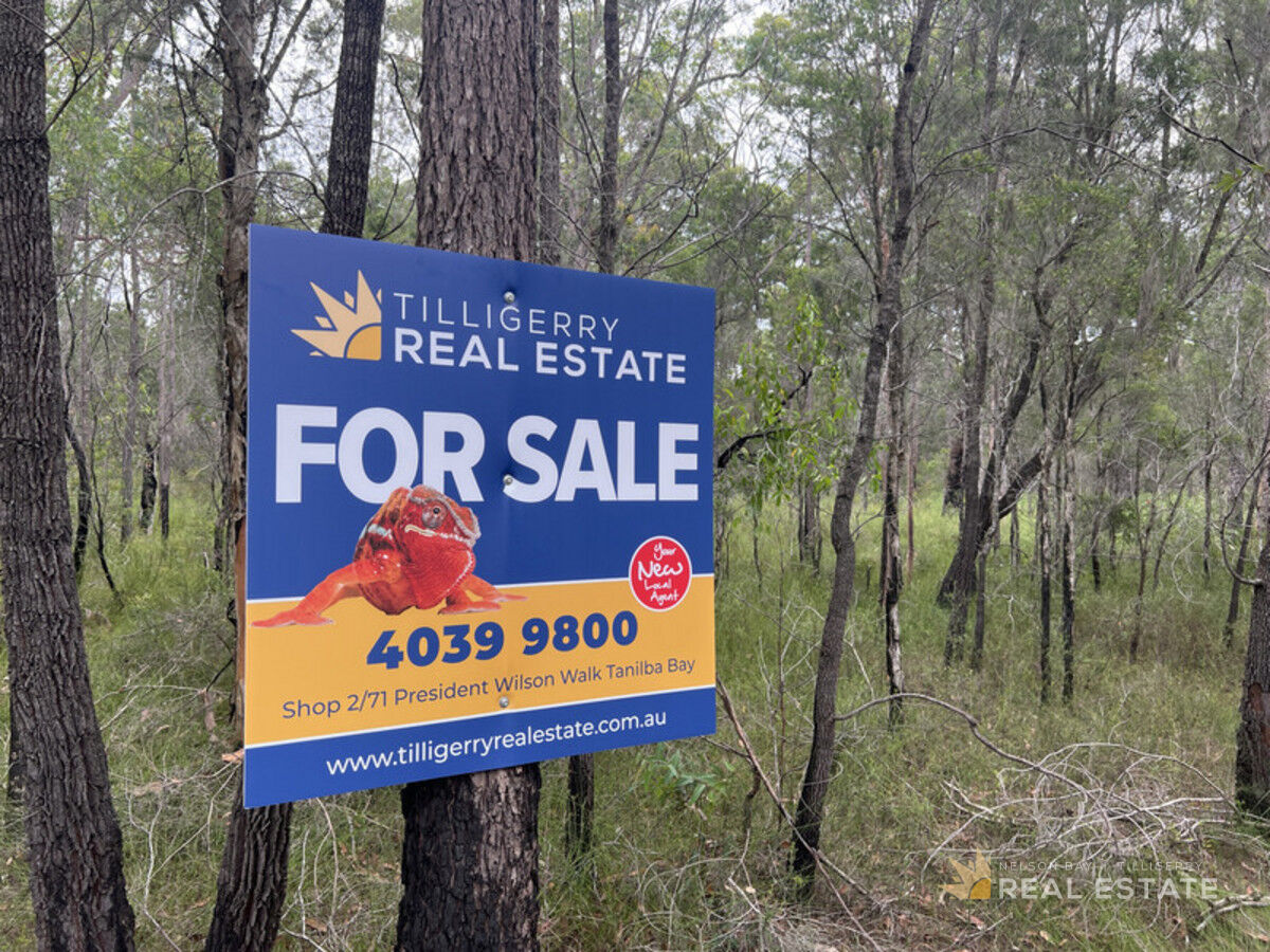 Lot 2857 Glen Innes Road, North Arm Cove NSW 2324, North Arm Cove - Thumbnail 8