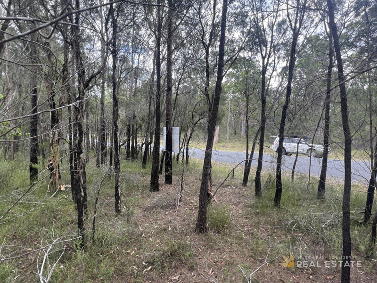 Lot 2857 Glen Innes Road, North Arm Cove NSW 2324, North Arm Cove - Thumbnail 5