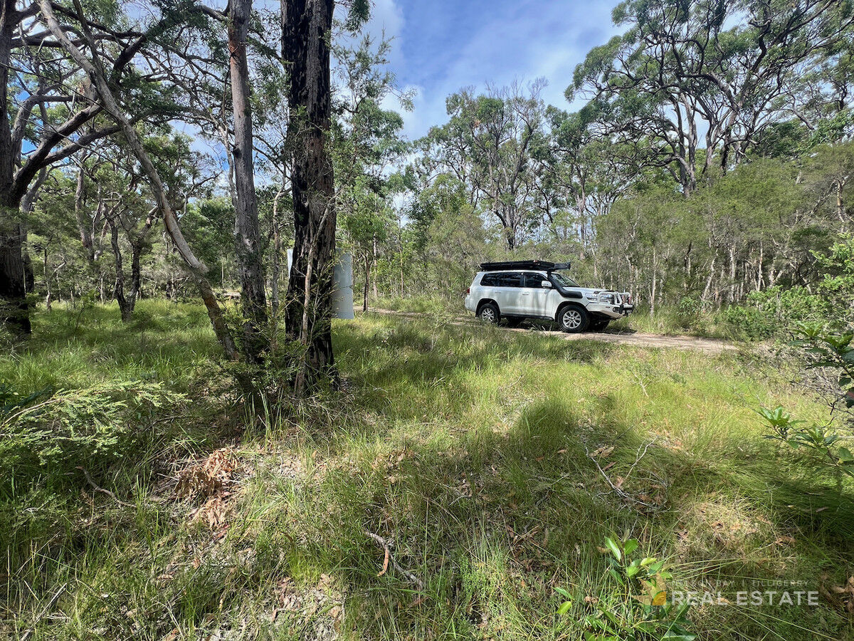 Lot 2500 Dungog Avenue, North Arm Cove NSW 2324, North Arm Cove - Thumbnail 4