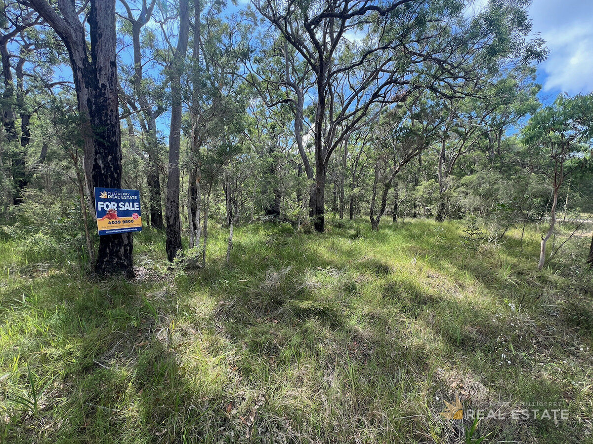 Lot 2500 Dungog Avenue, North Arm Cove NSW 2324, North Arm Cove - Thumbnail 5
