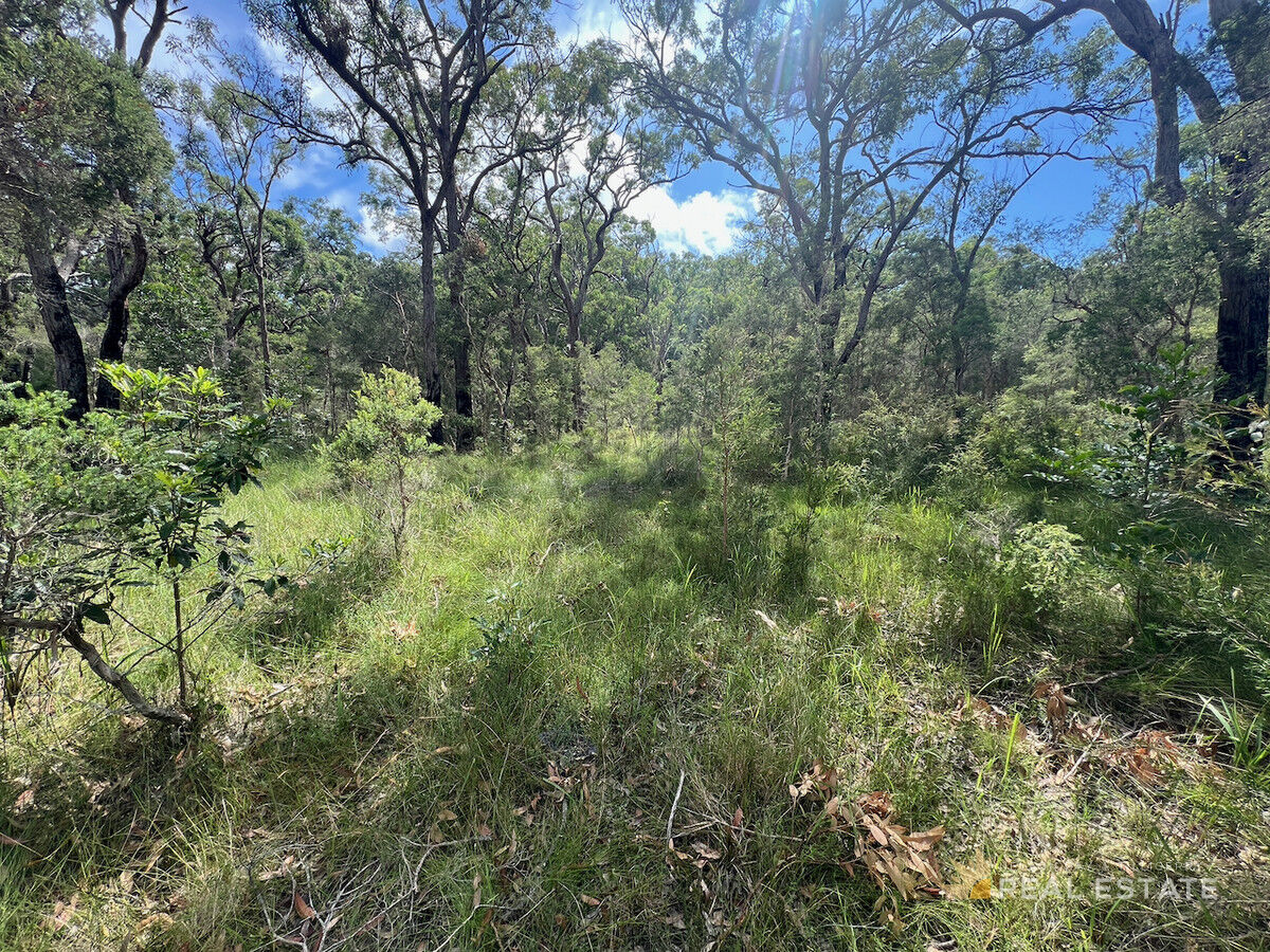 Lot 2500 Dungog Avenue, North Arm Cove NSW 2324, North Arm Cove - Thumbnail 3