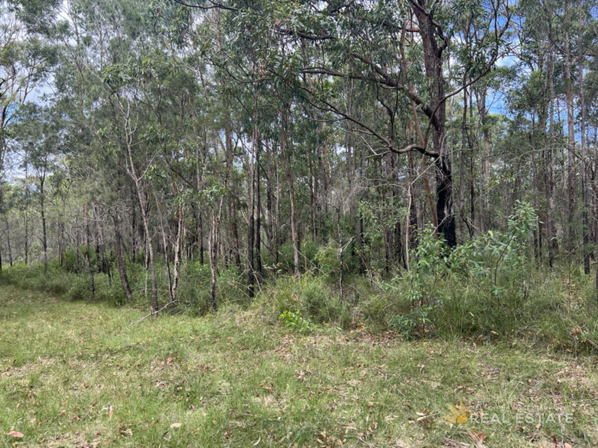 Lot 2841 Burren Street, North Arm Cove NSW 2324, North Arm Cove - Thumbnail 8