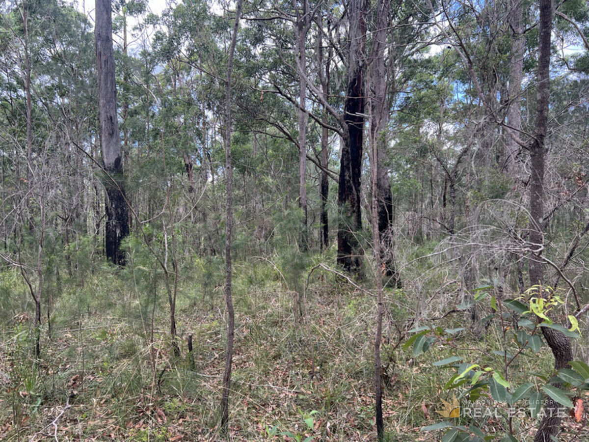 Lot 2841 Burren Street, North Arm Cove NSW 2324, North Arm Cove - Thumbnail 4