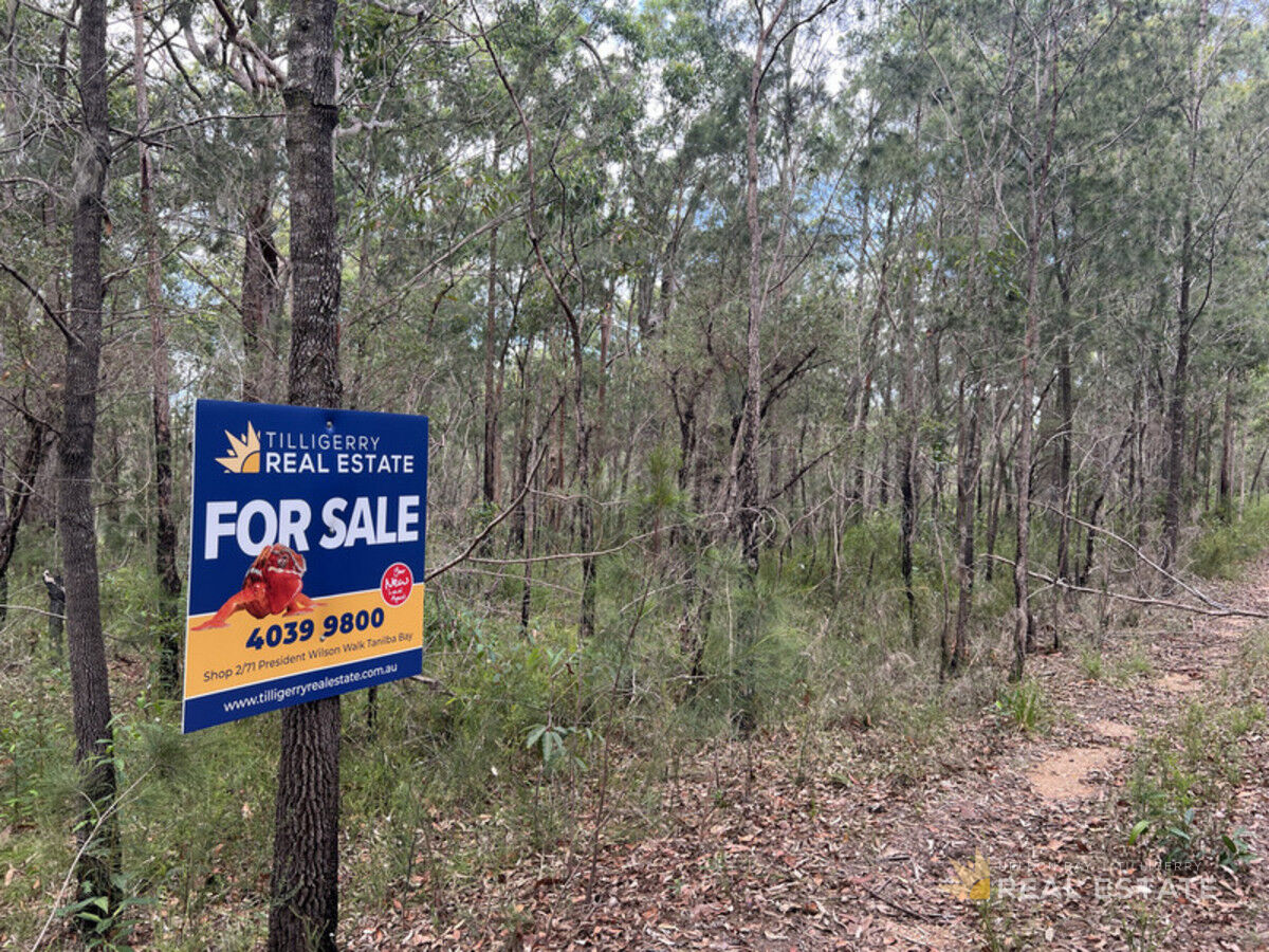 Lot 2841 Burren Street, North Arm Cove NSW 2324, North Arm Cove - Thumbnail 2