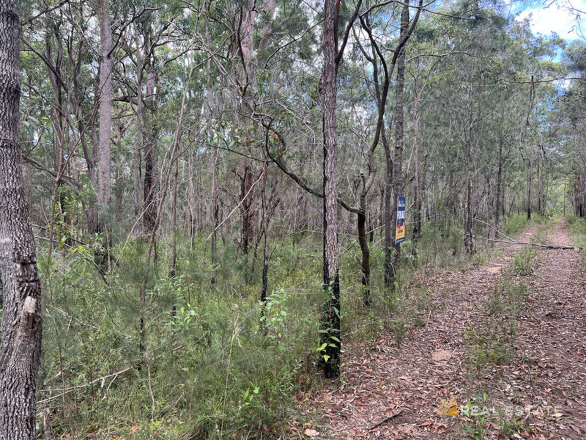 Lot 2841 Burren Street, North Arm Cove NSW 2324, North Arm Cove - Thumbnail 5