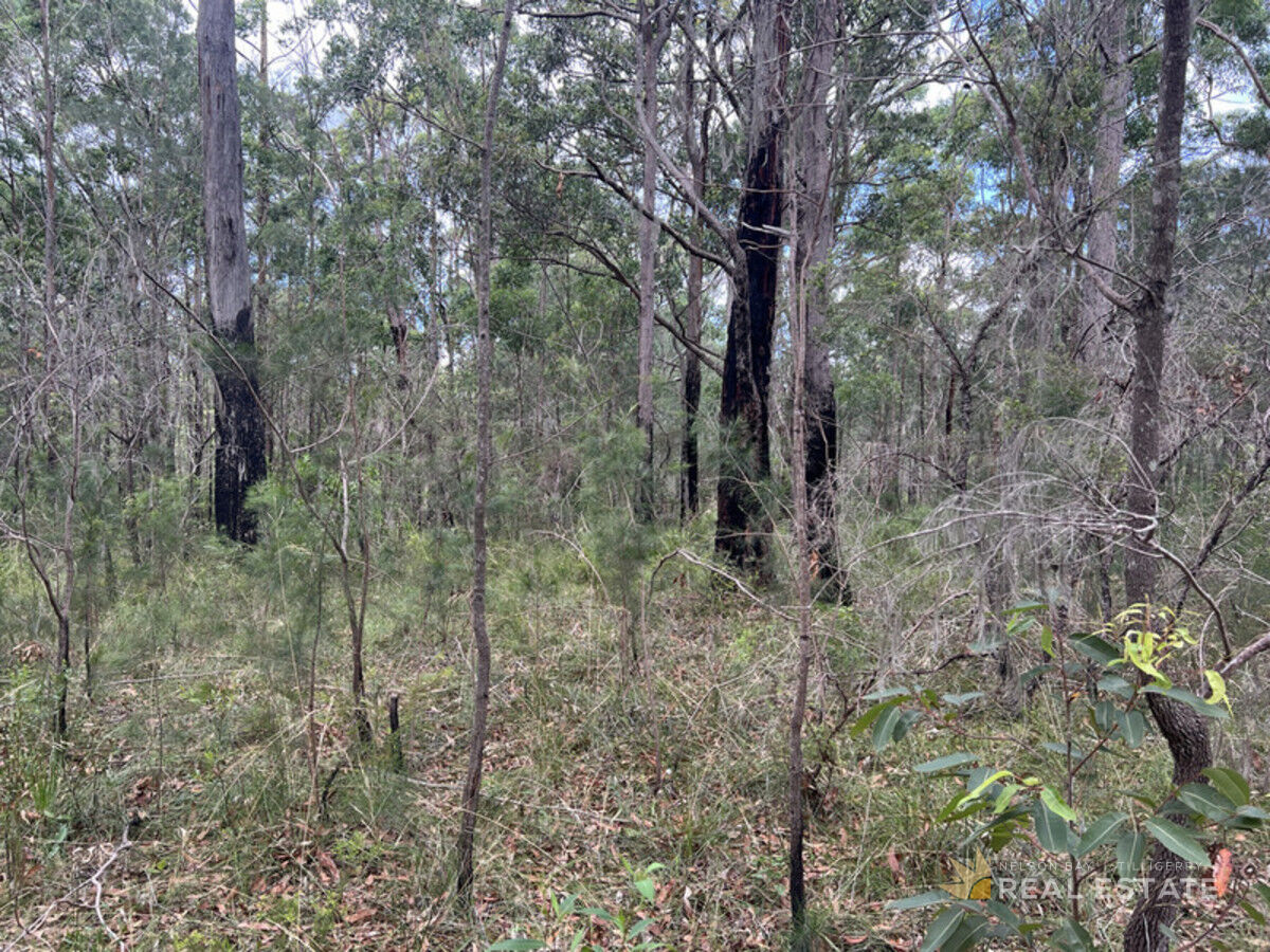 Lot 2841 Burren Street, North Arm Cove NSW 2324, North Arm Cove - Thumbnail 3