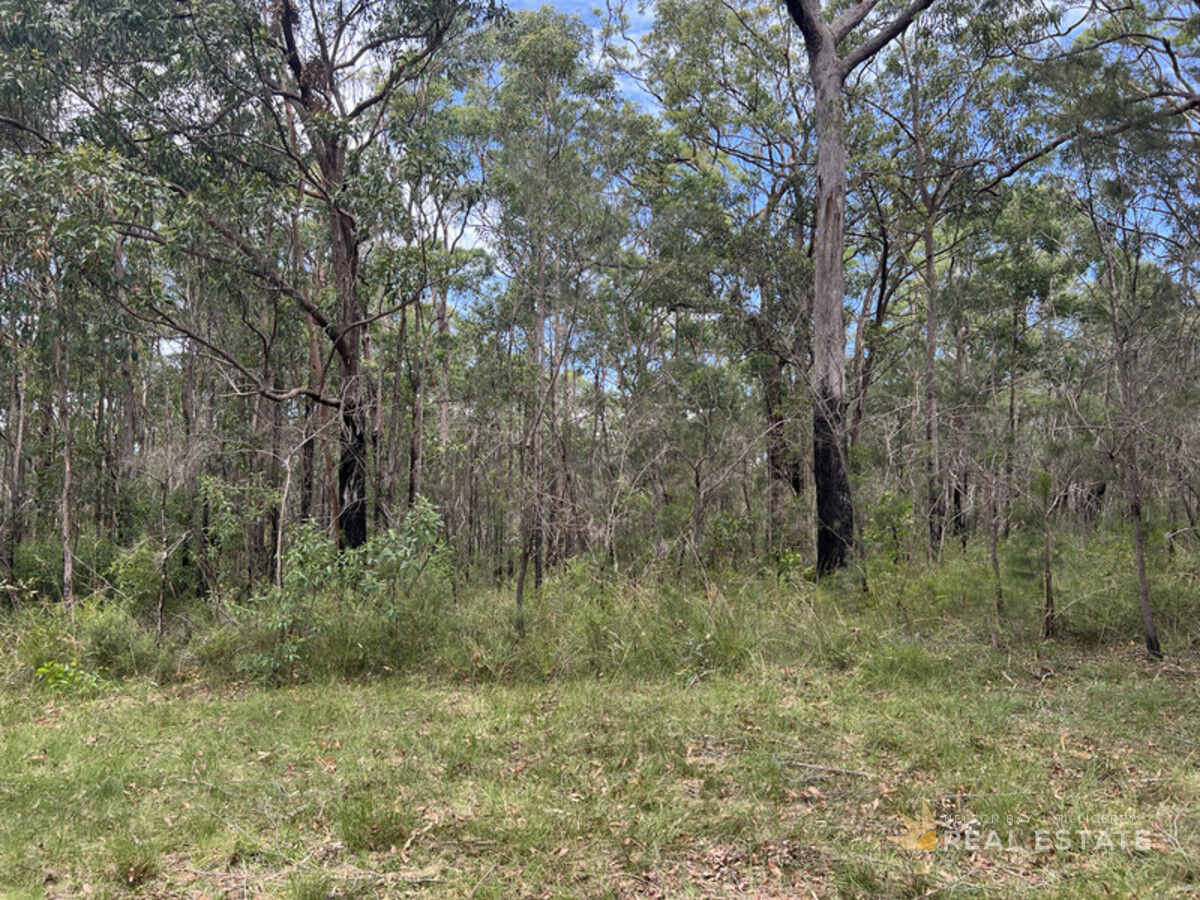 Lot 2841 Burren Street, North Arm Cove NSW 2324, North Arm Cove - Thumbnail 6