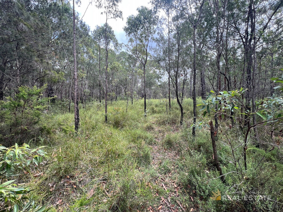 Lot 2867 Glencoe Street, North Arm Cove NSW 2324, North Arm Cove - Thumbnail 4