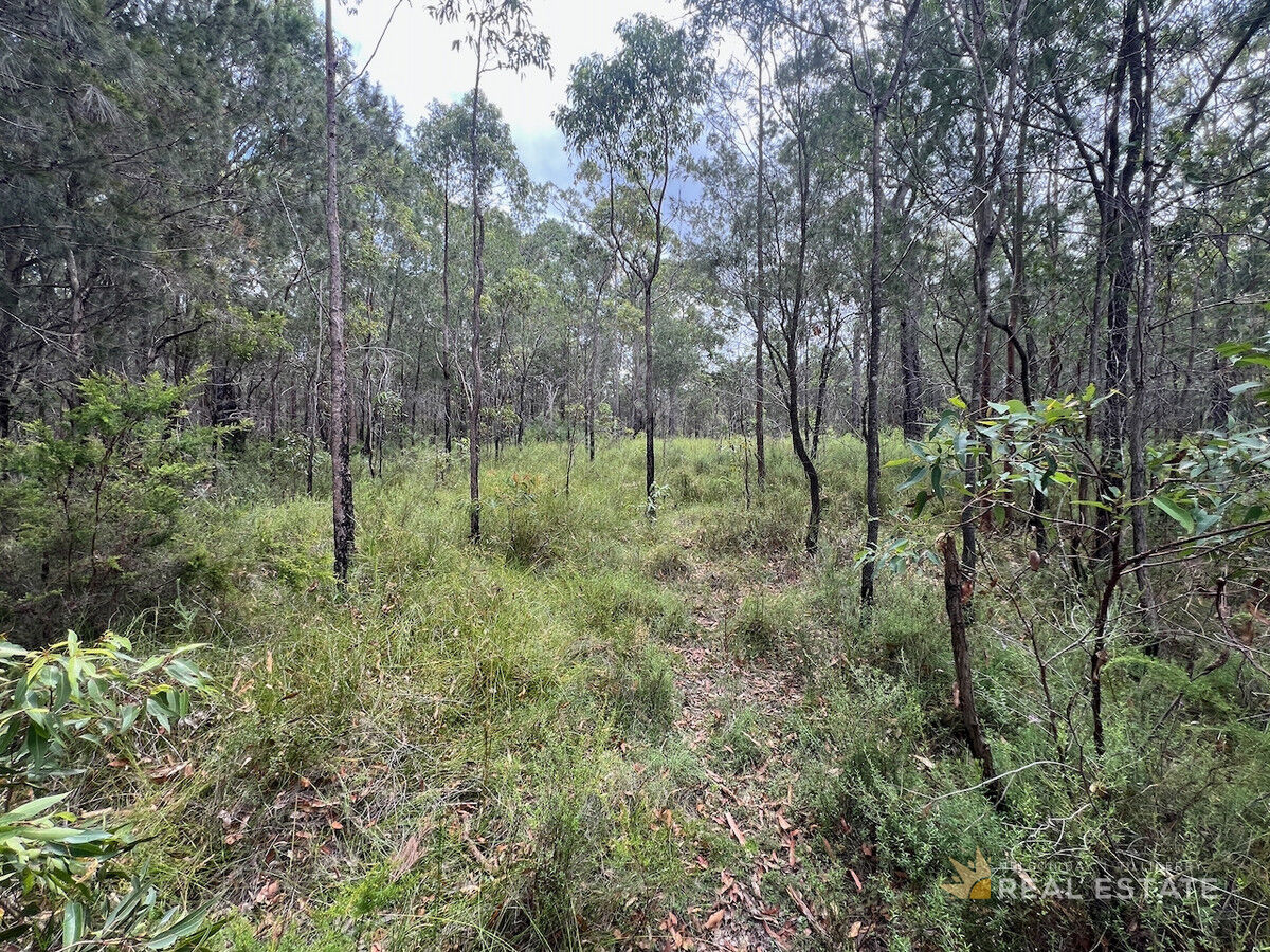 Lot 2867 Glencoe Street, North Arm Cove NSW 2324, North Arm Cove - Thumbnail 5