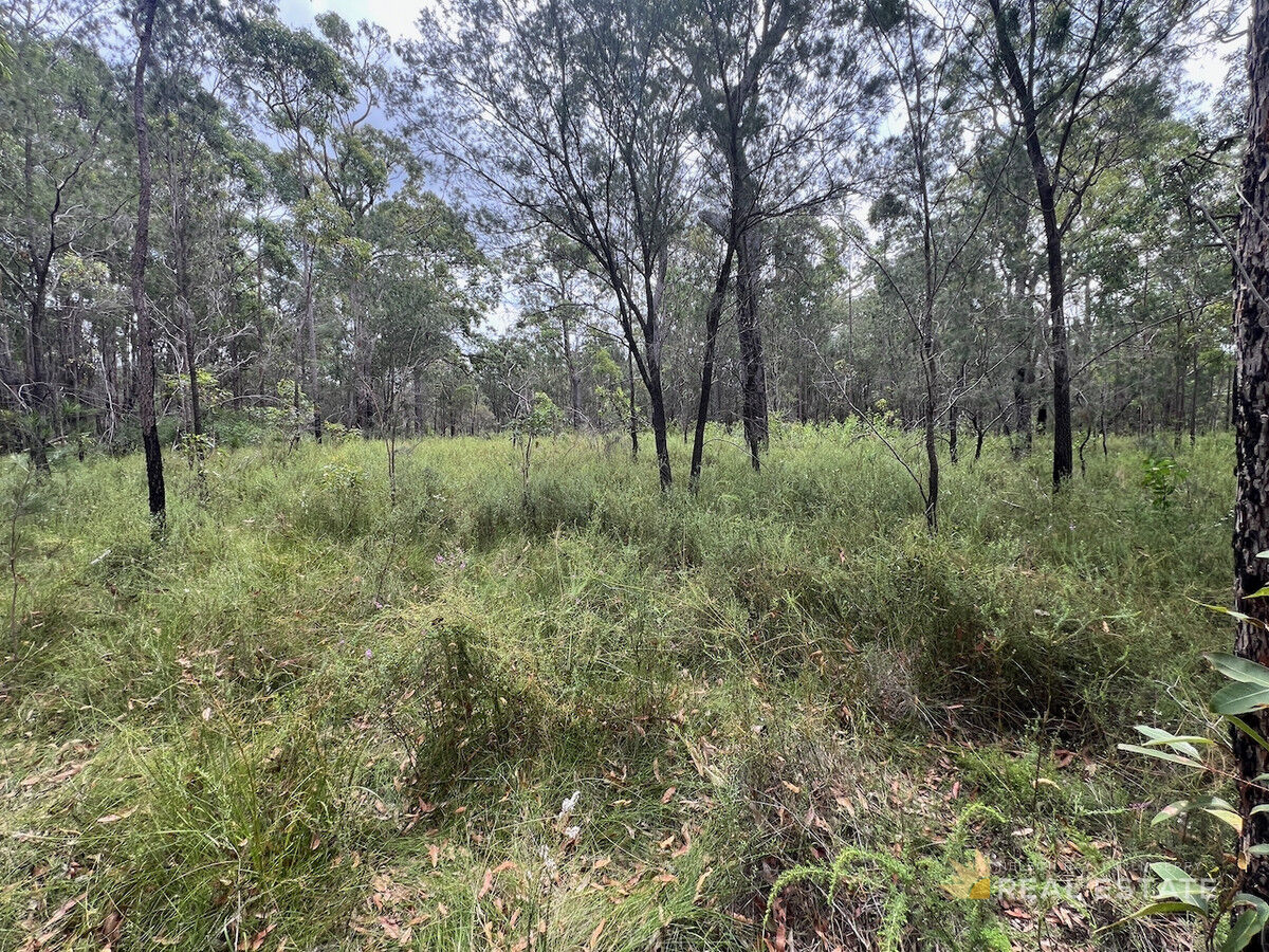 Lot 2867 Glencoe Street, North Arm Cove NSW 2324, North Arm Cove - Thumbnail 6
