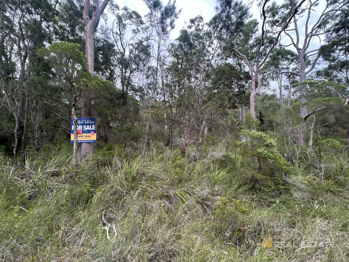Lot 6 Carrington Road, North Arm Cove NSW 2324, North Arm Cove - Thumbnail 8