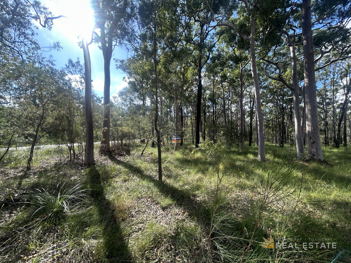 Lot 3126 Ballina Crescent, North Arm Cove NSW 2324, North Arm Cove - Thumbnail 8