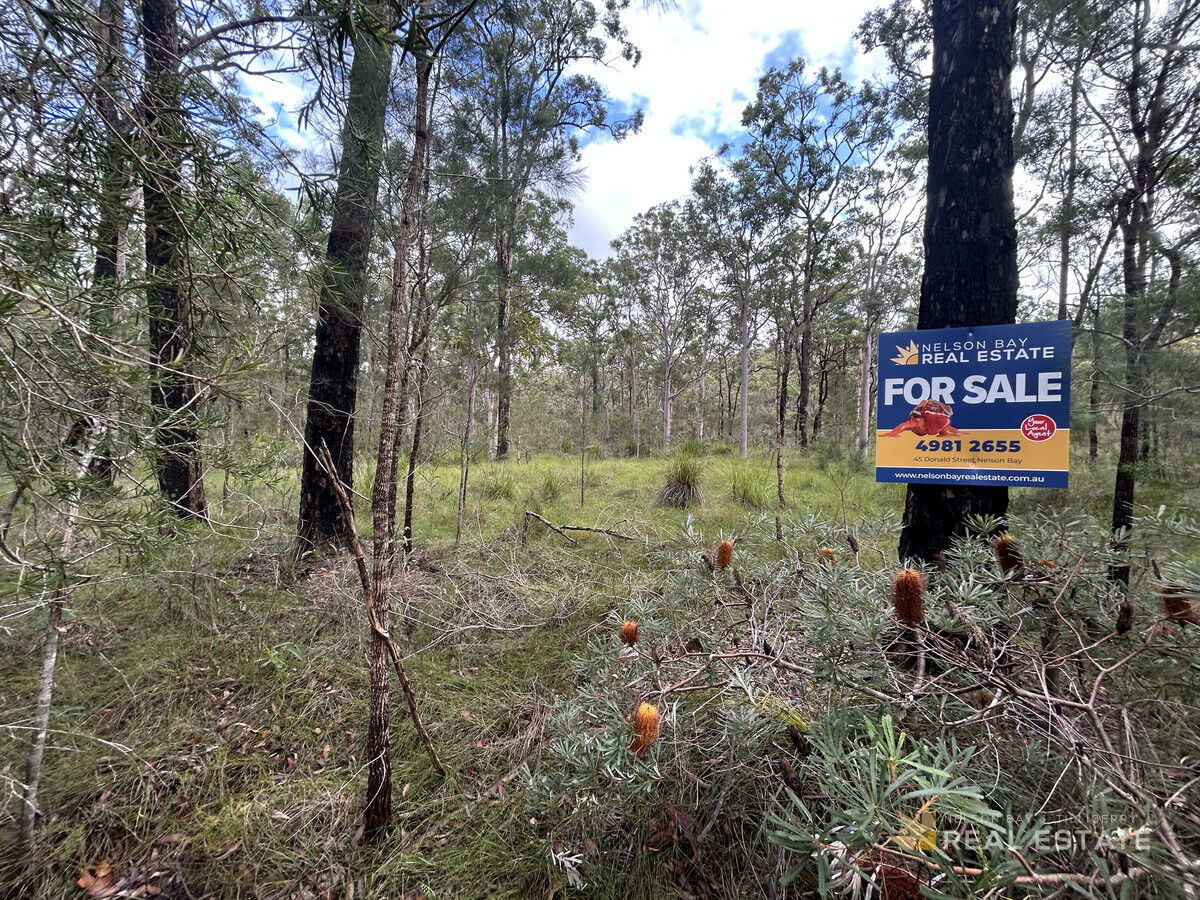 Lots 1845 & 1846 Dorrigo Avenue, North Arm Cove NSW 2324, North Arm Cove - Thumbnail 2