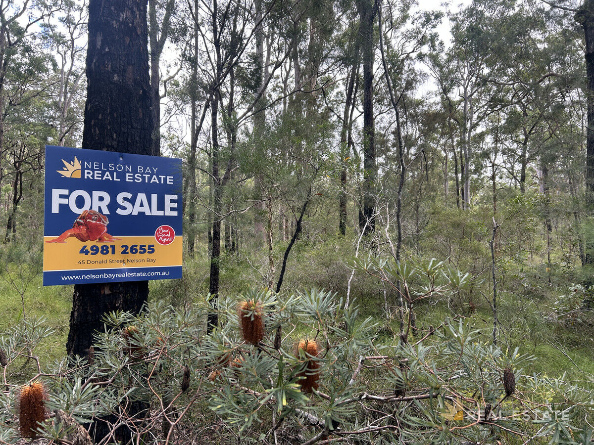 Lots 1845 & 1846 Dorrigo Avenue, North Arm Cove NSW 2324, North Arm Cove - Thumbnail 7