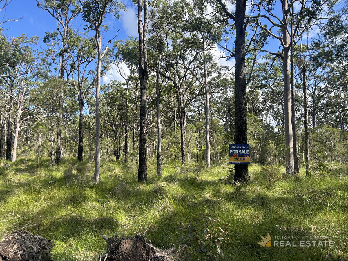 Lots 2248 & 2249 Dungog Avenue, North Arm Cove NSW 2324, North Arm Cove - Thumbnail 7