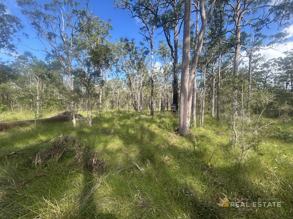 Lots 2248 & 2249 Dungog Avenue, North Arm Cove NSW 2324, North Arm Cove - Thumbnail 8