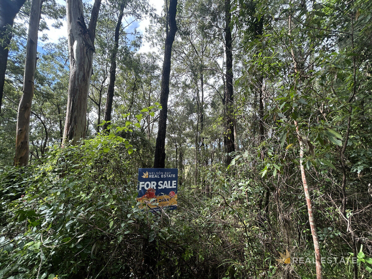 Lot 1730 Allandale Crescent, North Arm Cove NSW 2324, North Arm Cove - Thumbnail 3