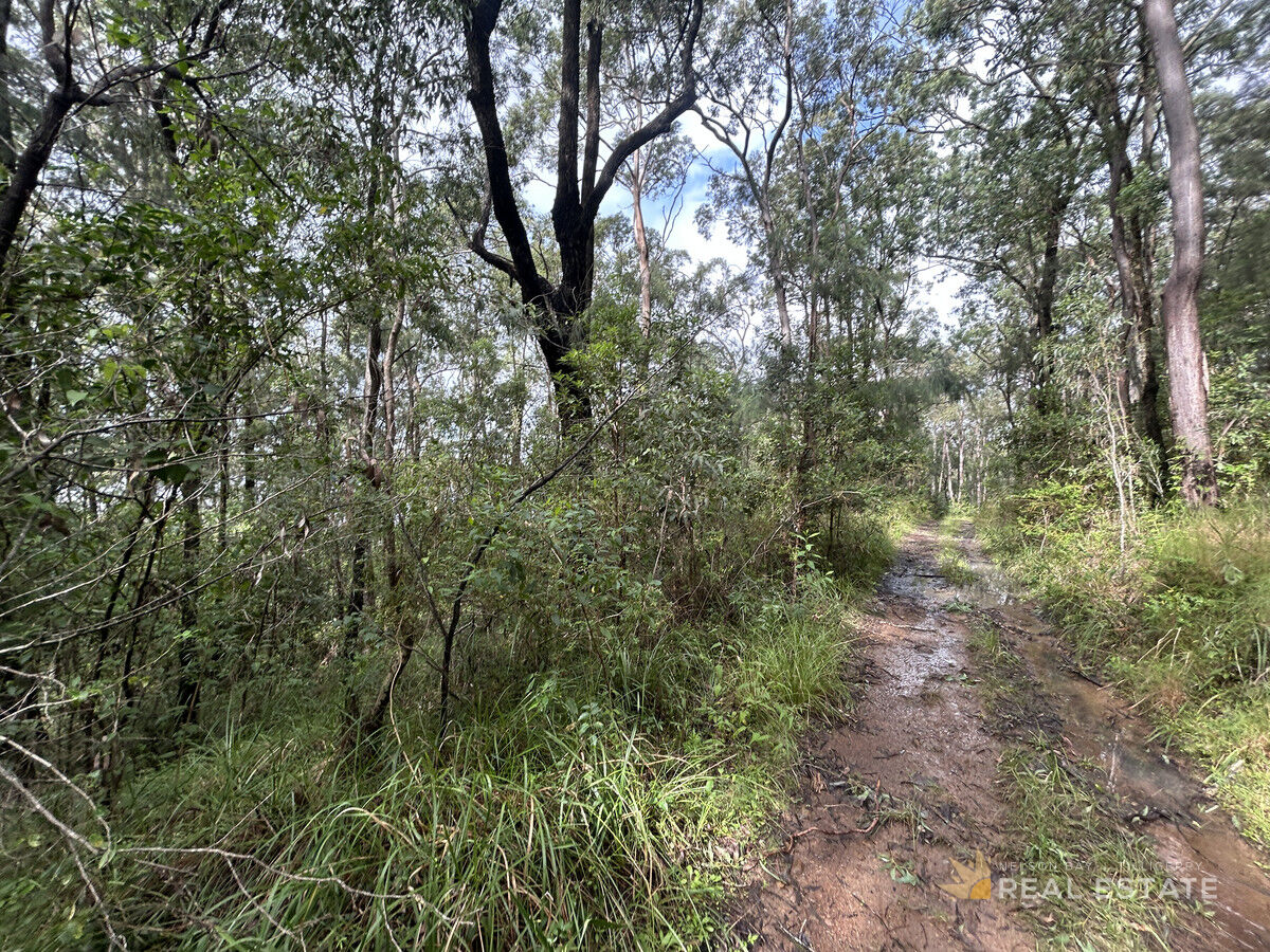 Lot 1730 Allandale Crescent, North Arm Cove NSW 2324, North Arm Cove - Thumbnail 8