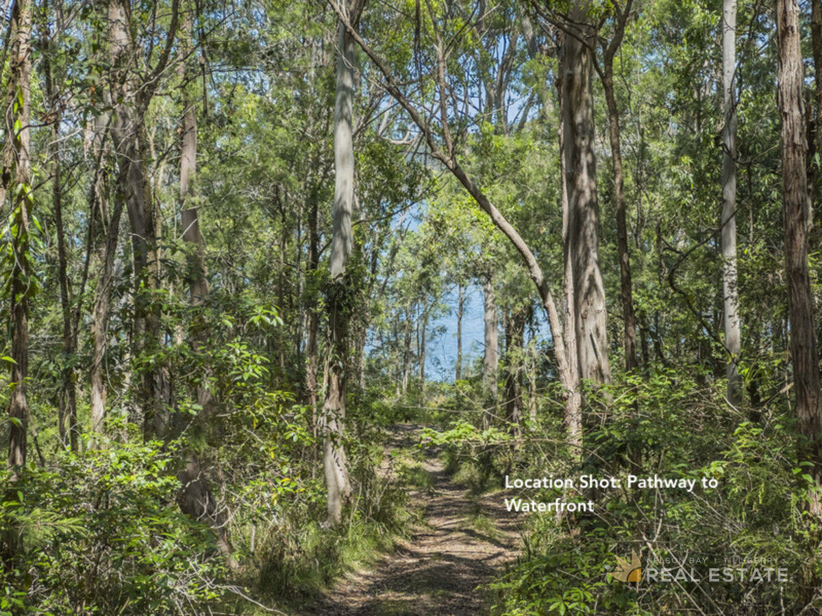 Lot 1730 Allandale Crescent, North Arm Cove NSW 2324, North Arm Cove - Thumbnail 6