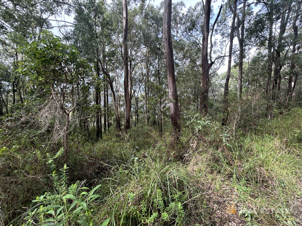 Lot 1729 Allandale Crescent, North Arm Cove NSW 2324, North Arm Cove - Thumbnail 2