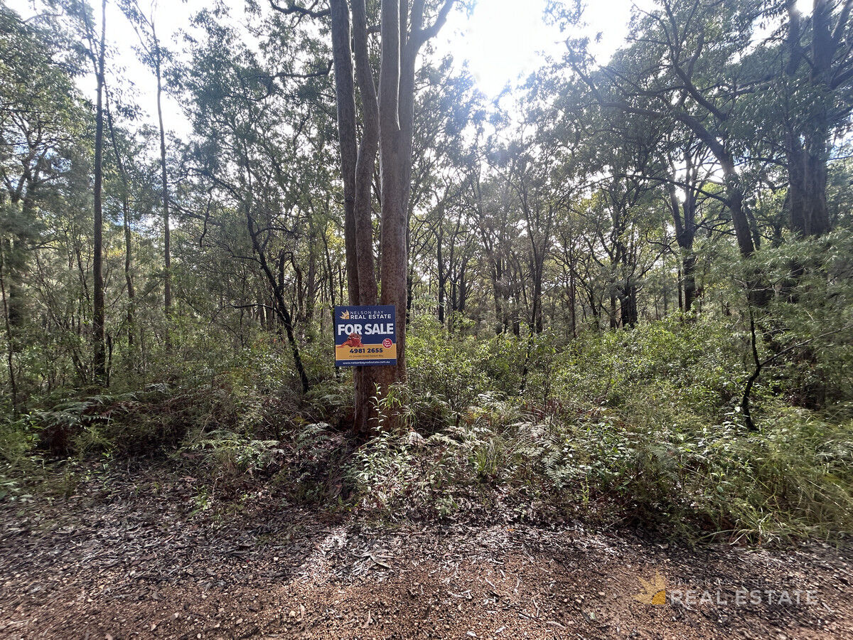 Lot 1161 Station Way, North Arm Cove NSW 2324, North Arm Cove - Thumbnail 3
