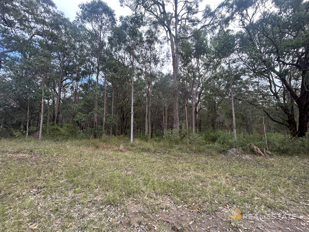 Lot 2864 Glencoe Street, North Arm Cove NSW 2324, North Arm Cove - Thumbnail 3
