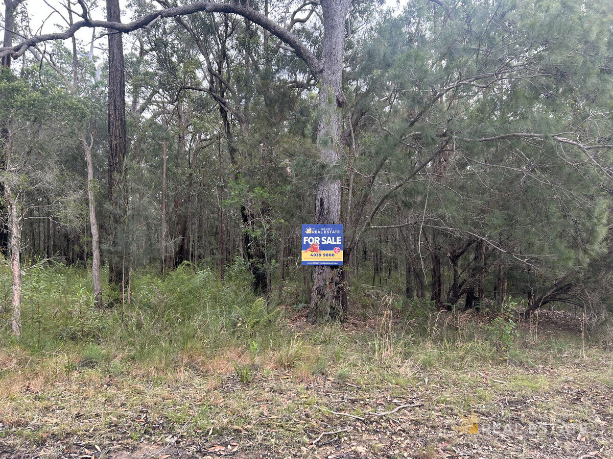Lot 2864 Glencoe Street, North Arm Cove NSW 2324, North Arm Cove - Thumbnail 6