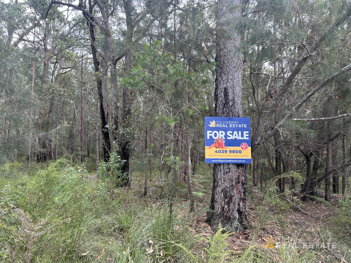 Lot 2864 Glencoe Street, North Arm Cove NSW 2324, North Arm Cove - Thumbnail 8