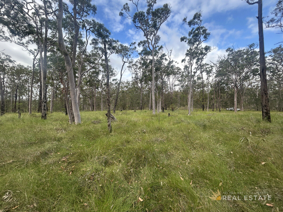 Lot 3024 Tingha Street, North Arm Cove NSW 2324, North Arm Cove - Thumbnail 2