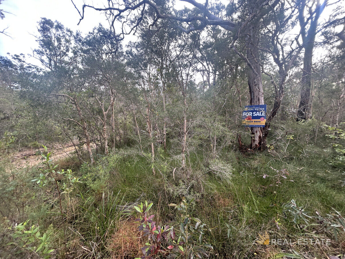 Lot 1339 Commerce Way, North Arm Cove NSW 2324, North Arm Cove - Thumbnail 4