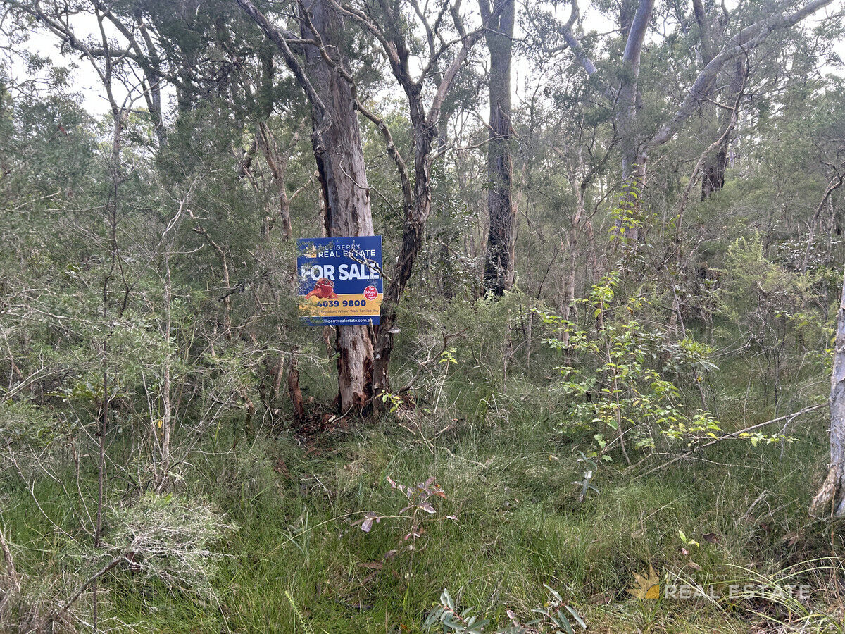 Lot 1339 Commerce Way, North Arm Cove NSW 2324, North Arm Cove - Thumbnail 5