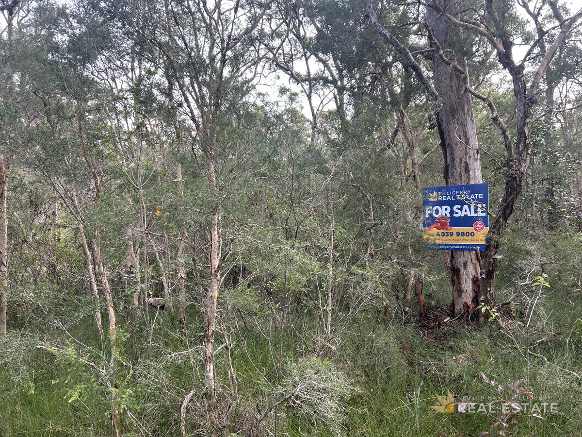 Lot 1339 Commerce Way, North Arm Cove NSW 2324, North Arm Cove - Thumbnail 6