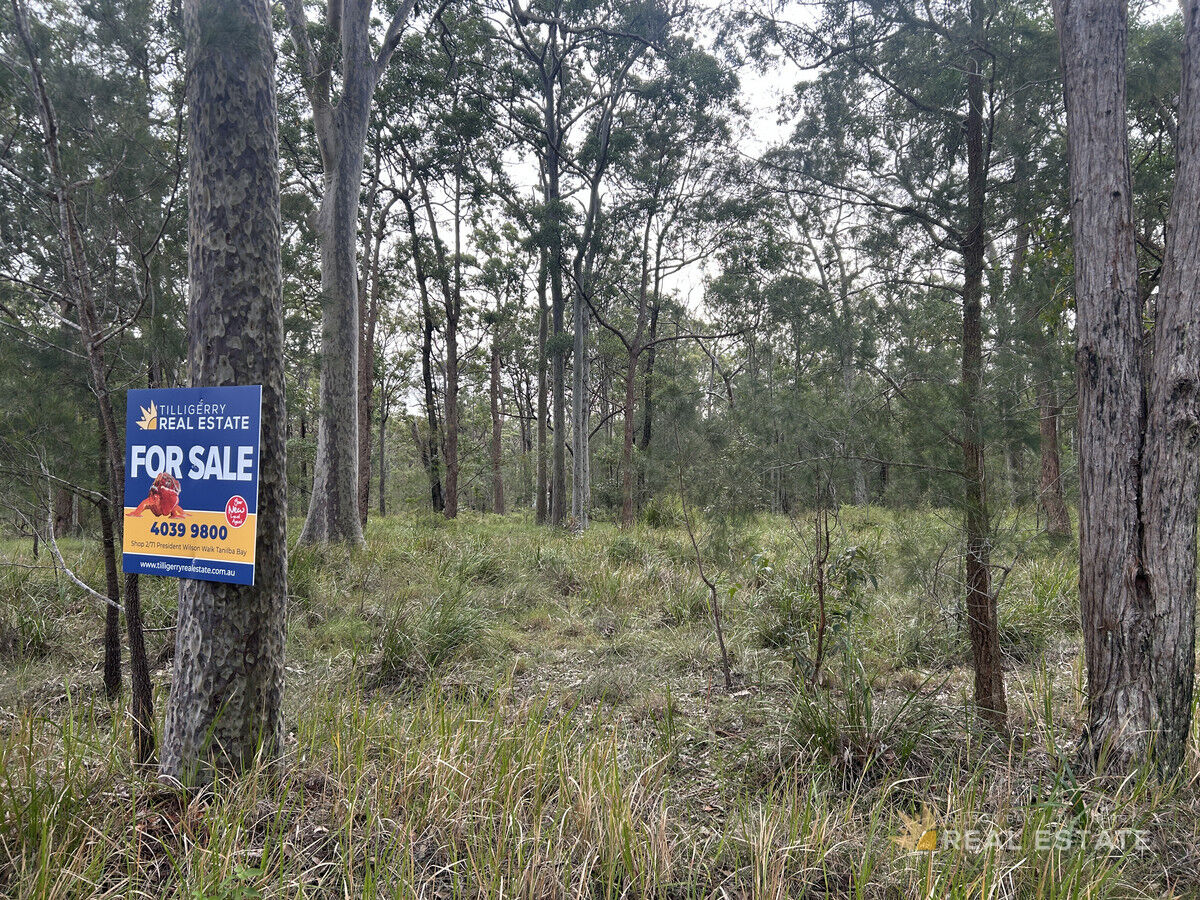 Lot 2972 Glen Innes Road, North Arm Cove NSW 2324, North Arm Cove - Thumbnail 5