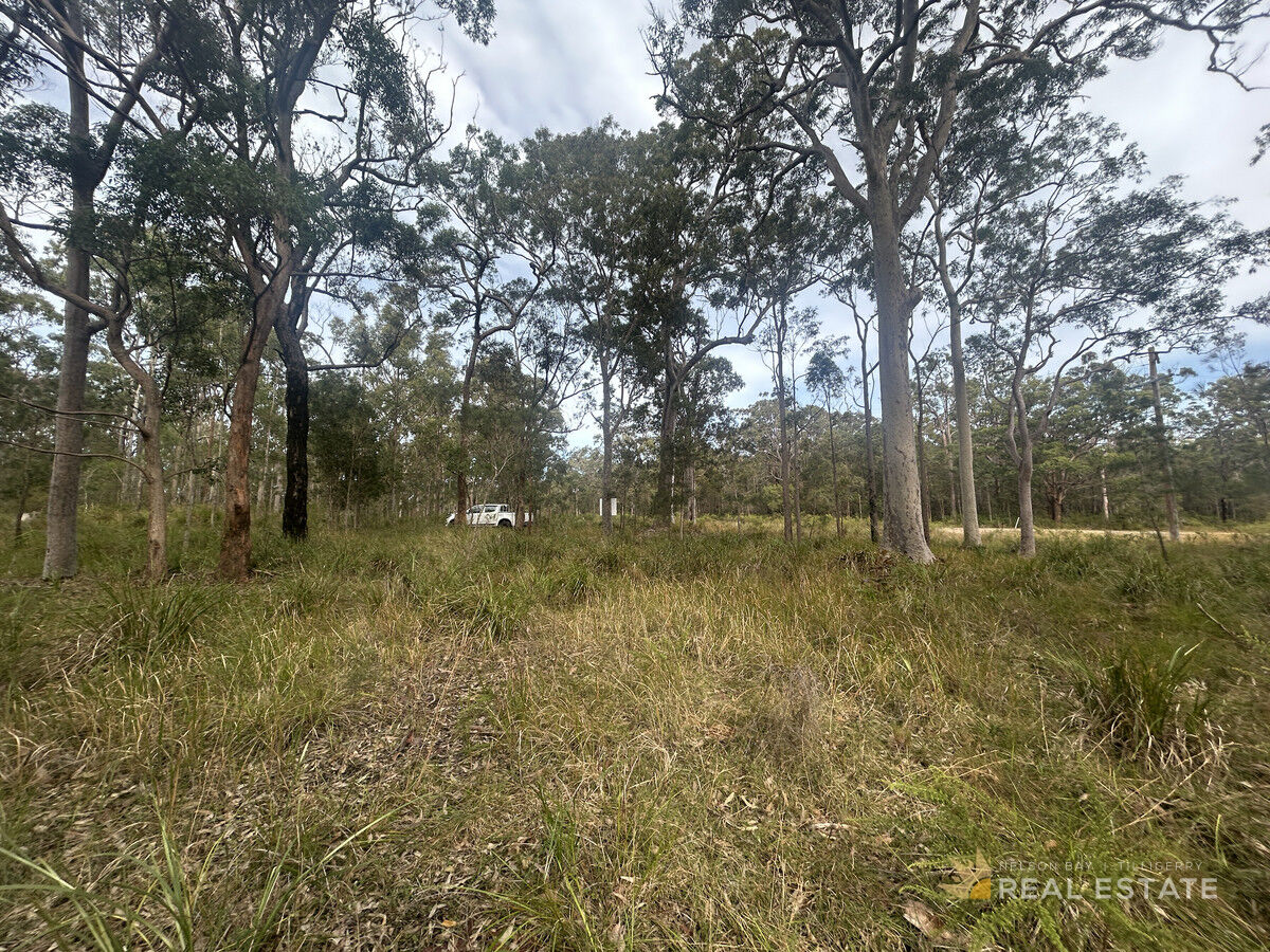 Lot 2972 Glen Innes Road, North Arm Cove NSW 2324, North Arm Cove - Thumbnail 2