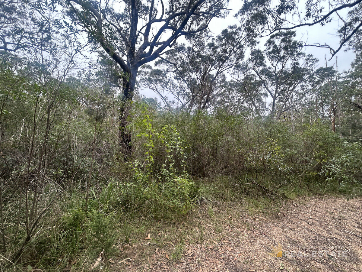 Lot 1088 Warialda Parkway, North Arm Cove NSW 2324, North Arm Cove - Thumbnail 6