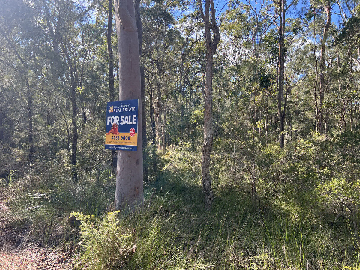 Lot 137 Lansdowne Grove, North Arm Cove NSW 2324, North Arm Cove - Thumbnail 6