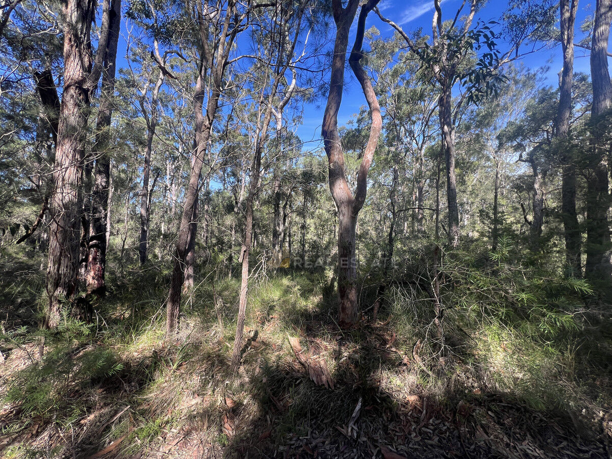 Lot 137 Lansdowne Grove, North Arm Cove NSW 2324, North Arm Cove - Thumbnail 5