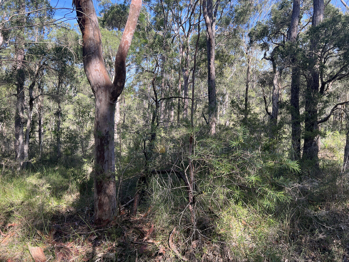 Lot 137 Lansdowne Grove, North Arm Cove NSW 2324, North Arm Cove - Thumbnail 7