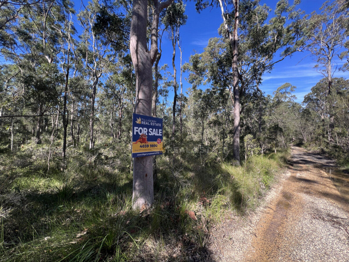 Lot 137 Lansdowne Grove, North Arm Cove NSW 2324, North Arm Cove - Thumbnail 8