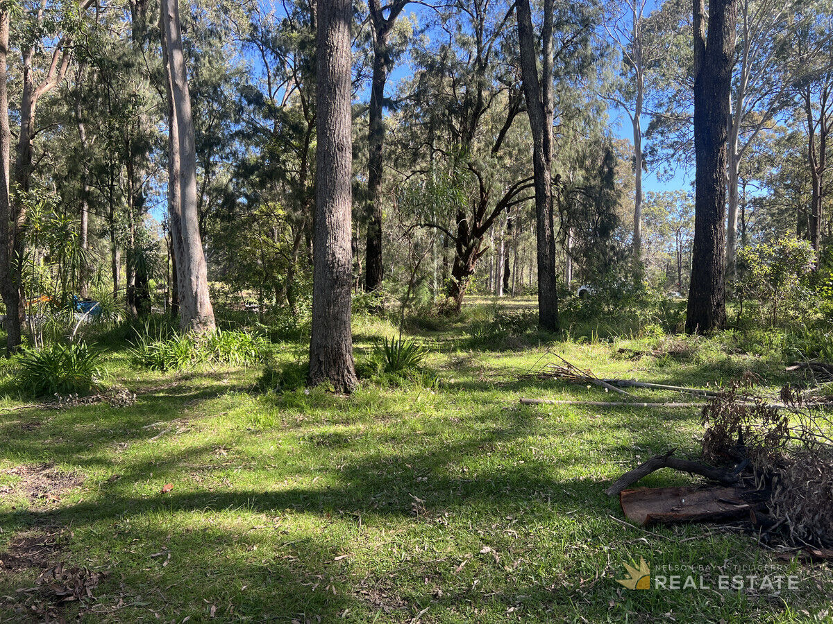 Lot 159 The Ridgeway, North Arm Cove NSW 2324, North Arm Cove - Thumbnail 6