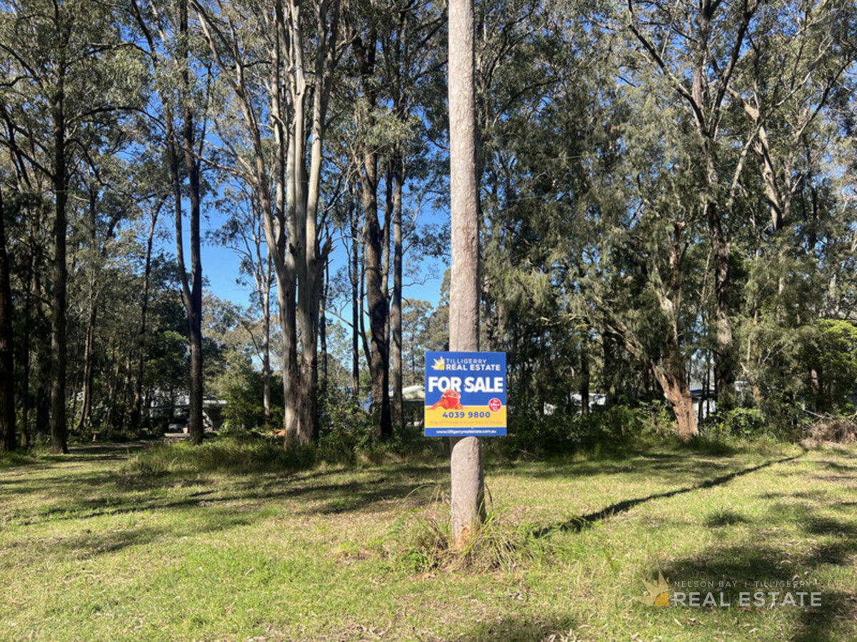 Lot 159 The Ridgeway, North Arm Cove NSW 2324, North Arm Cove - Thumbnail 8